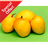 Standard Alphonso Mangoes